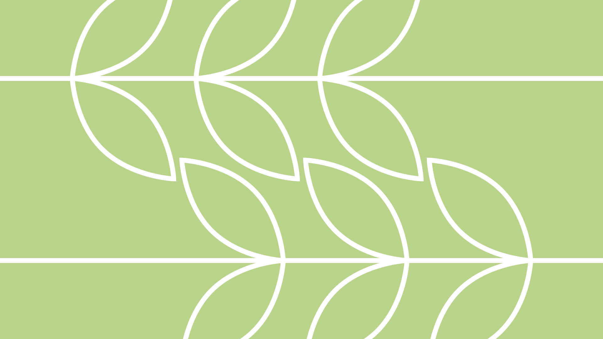 ecoberg news foresta