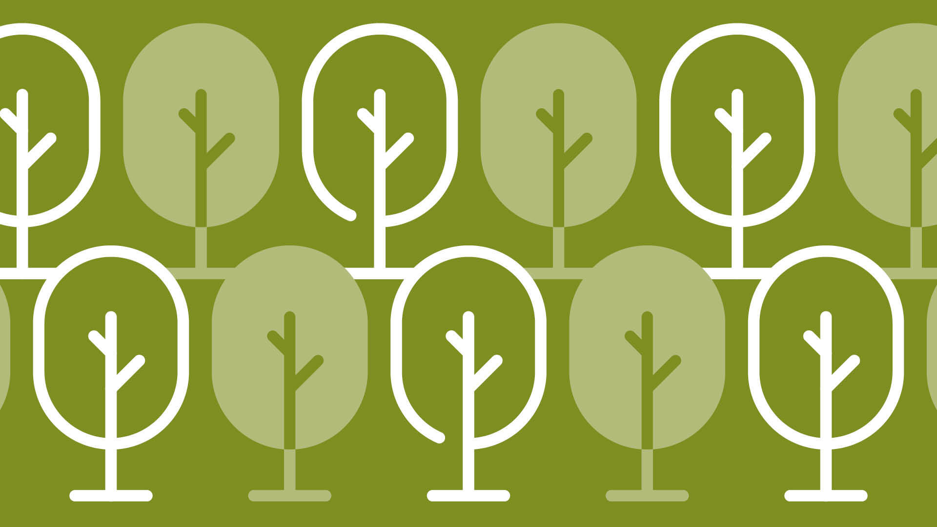 immagine foresta ecoberg